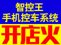 智控王智能控車系統