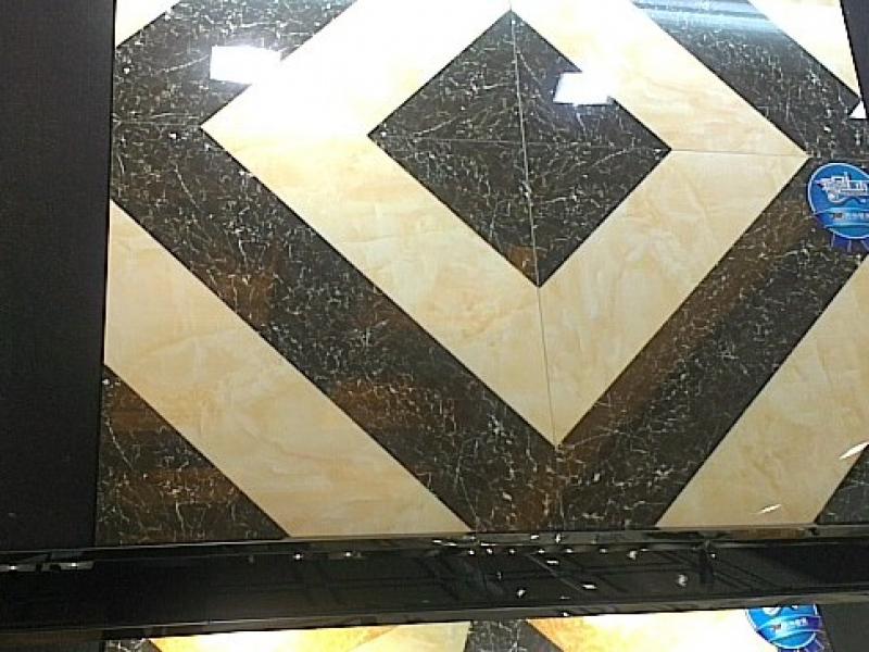 美洲獅智能變頻發熱瓷磚