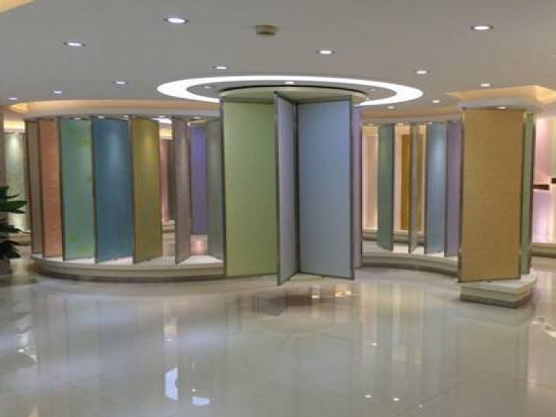 愛(ài)麗達(dá)3D彩麗漆