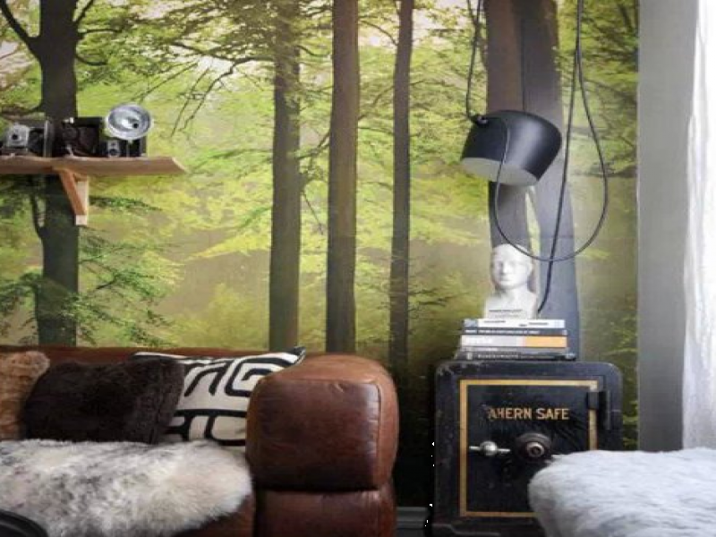 愛(ài)麗達(dá)3D彩麗漆