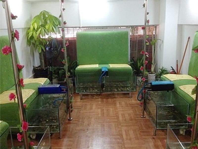 魚(yú)之吻足浴養(yǎng)生館