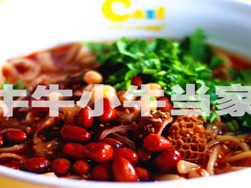 牛牛小牛當家牛肉面