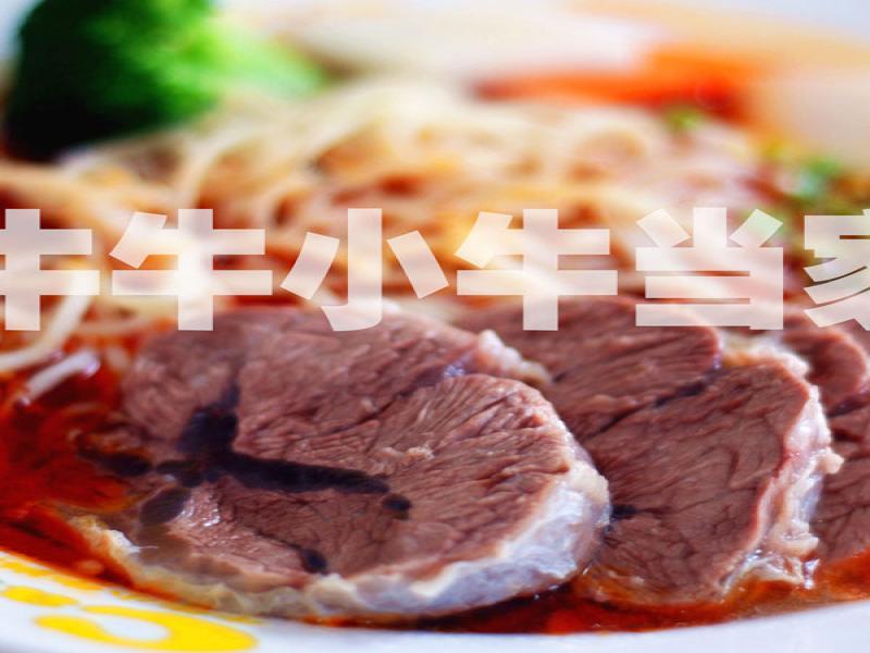牛牛小牛當家牛肉面