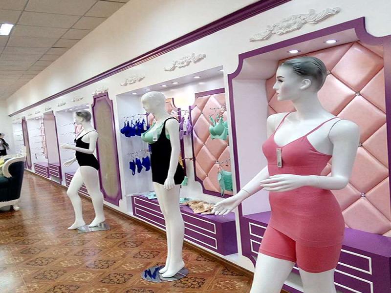 艾芘基妮無鋼圈內衣