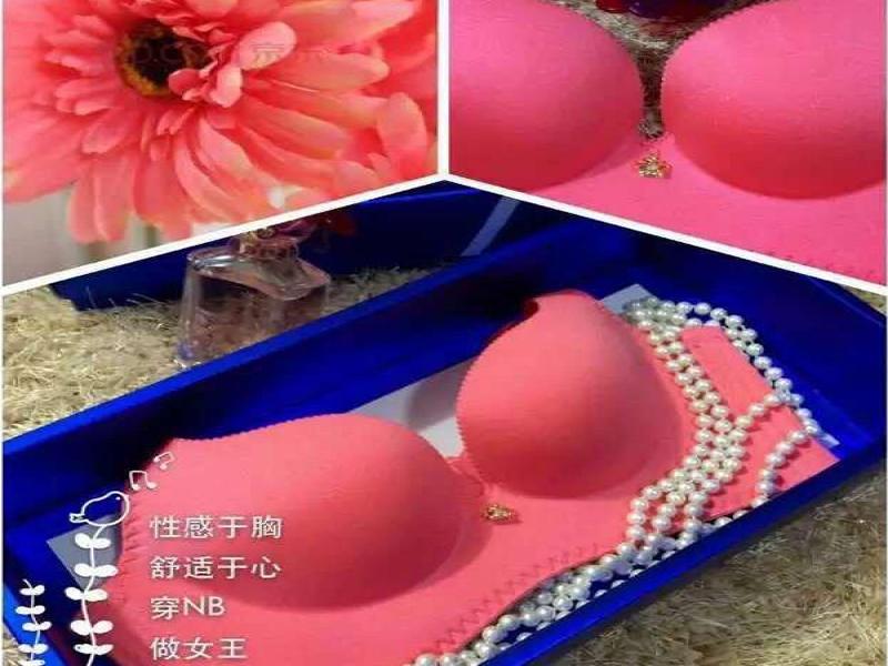 艾芘基妮無鋼圈內衣