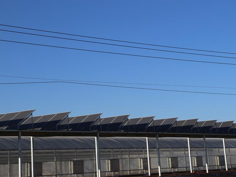 清大奧普太陽能發電