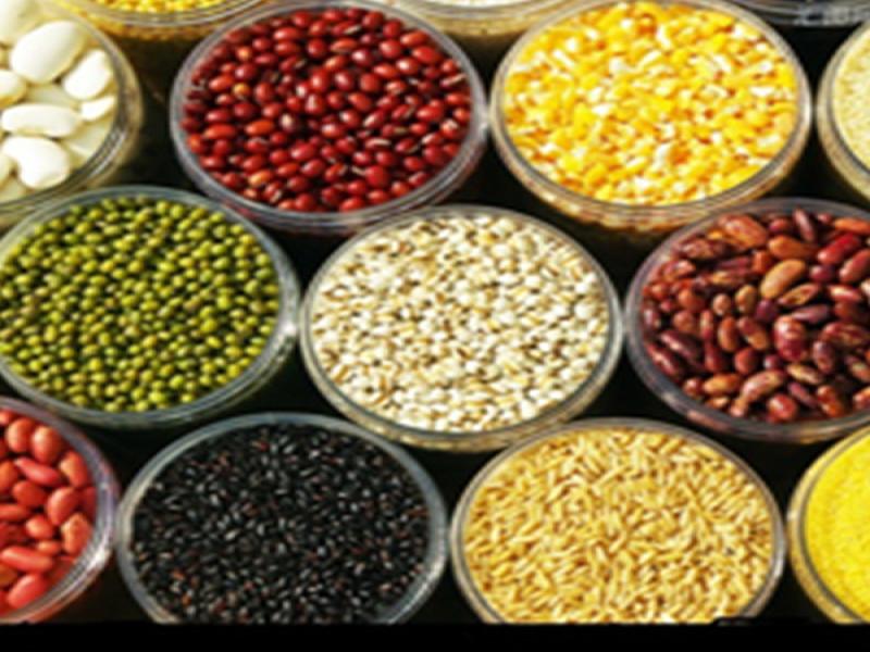 康豆健康養生熱飲