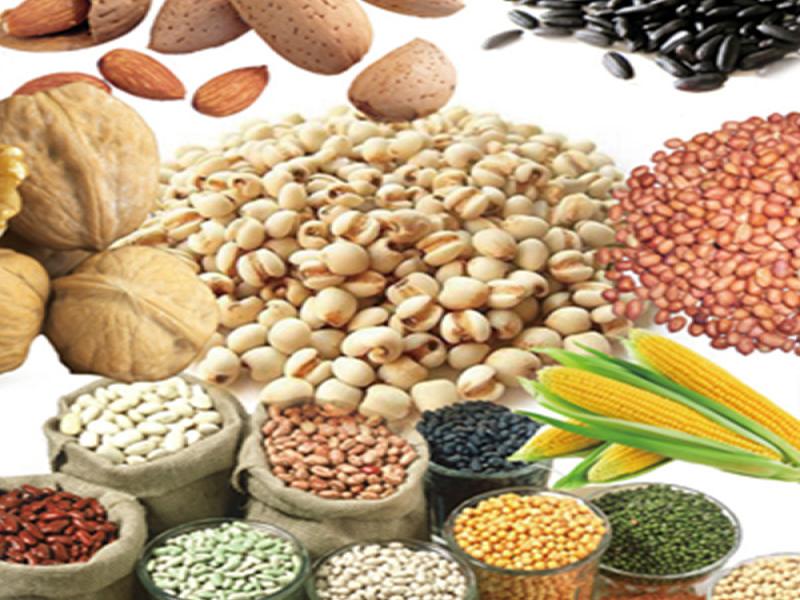 康豆健康養生熱飲