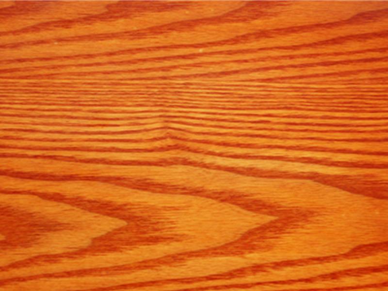 樂涂除霉防霉墻藝