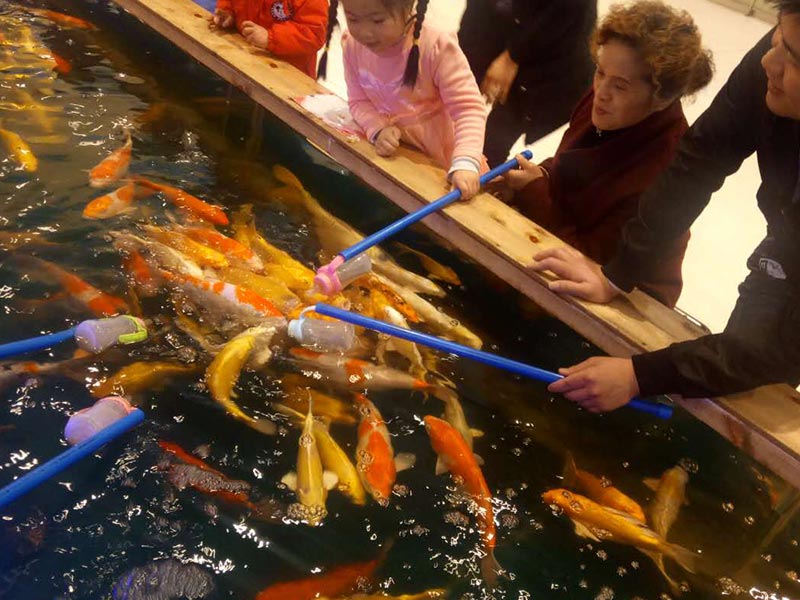 魚你同樂吃奶魚