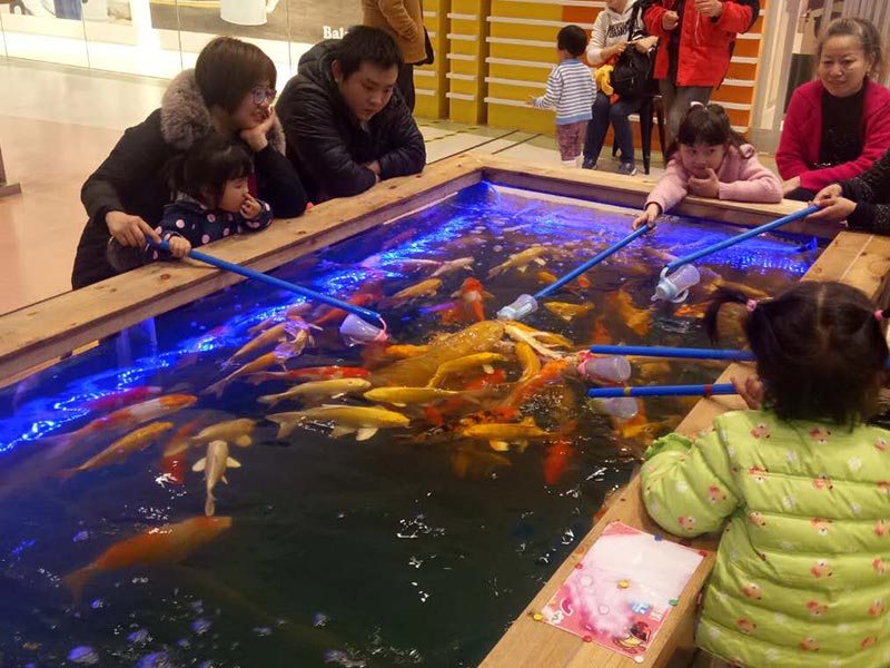 魚你同樂吃奶魚