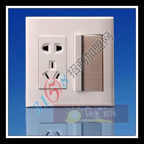 雙羊開關插座