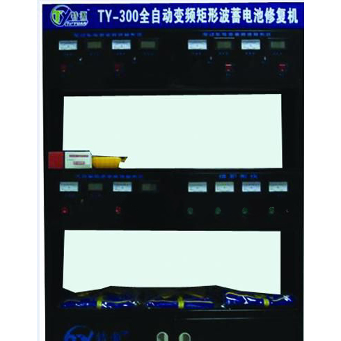 南昌特源TY-300型修復機