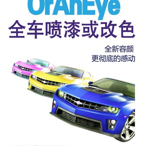 賽浪汽車藝術彩繪