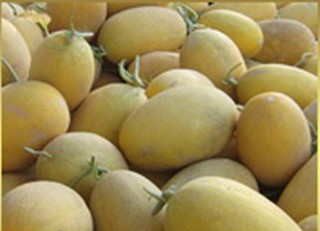 薩爾布拉克名優特產