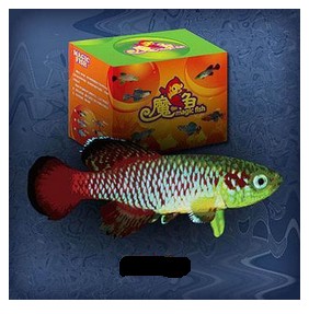 生態桌寵魔法魚