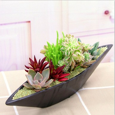 美格生態桌寵生態花園