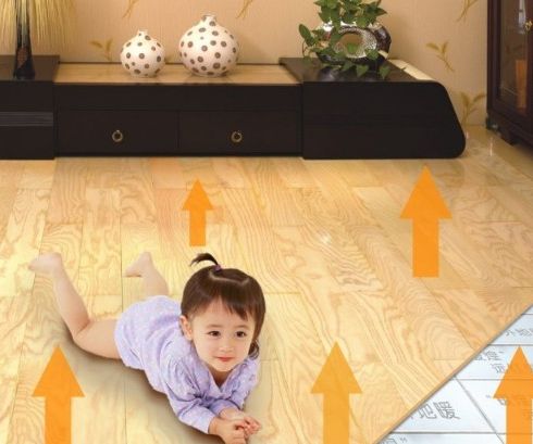 美洲獅智能變頻發熱瓷磚