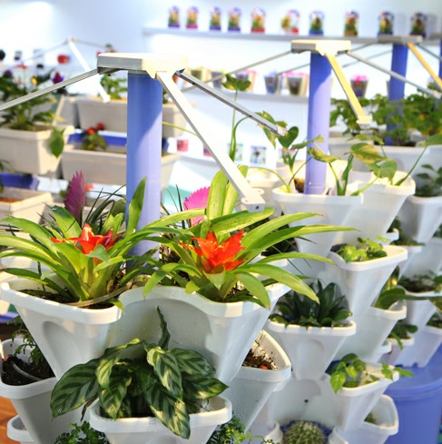 植彩坊階梯式種植機