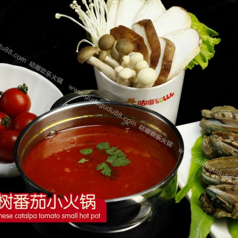 滇南樹番茄小火鍋