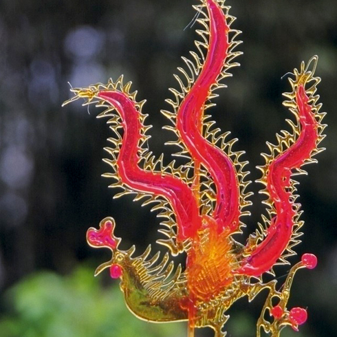 糖三彩糖畫機(jī)之鳳凰糖畫