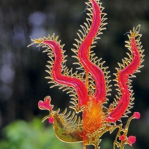 糖三彩糖畫機之鳳凰糖畫