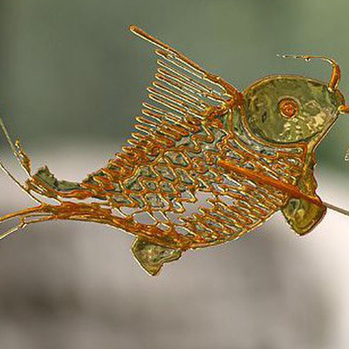 糖三彩糖畫機(jī)