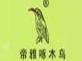 帝雅啄木鳥(niǎo)女裝