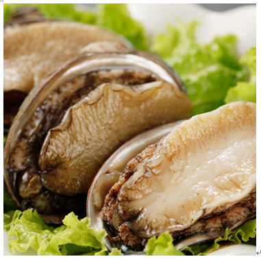 開往春天的地鐵小火鍋產品-涮鮑魚