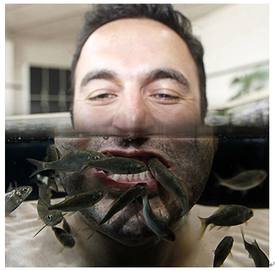 魚之情香薰魚療養生產品-魚療養生