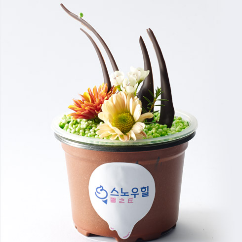 雪之丘美色冰淇淋產品-雪之丘美色冰淇淋盆栽冰淇淋