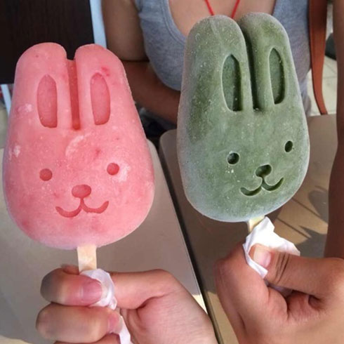 果寶奇冰飲品-創意冰棍