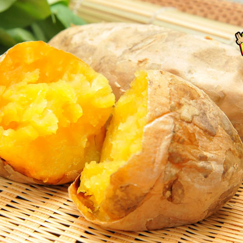 薯英雄地瓜養生坊-胖大個養生地瓜