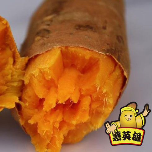 薯英雄地瓜養生坊-妙女郎養生地瓜