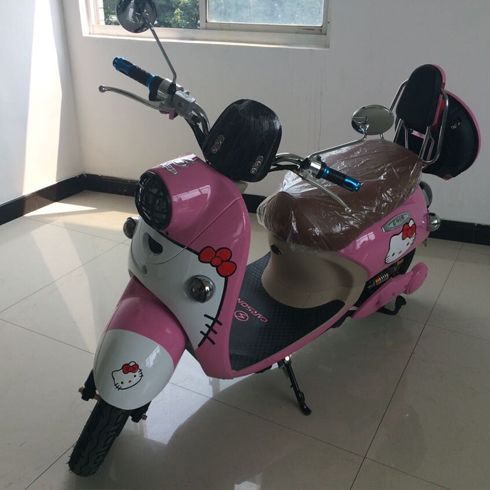 綠安騏電動(dòng)車(chē)-小龜王