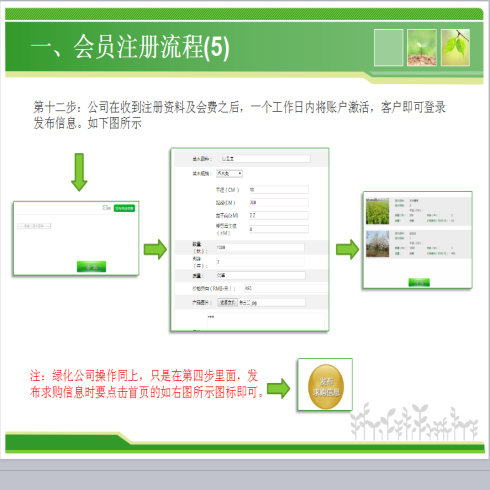 九州綠苑苗木交易平臺