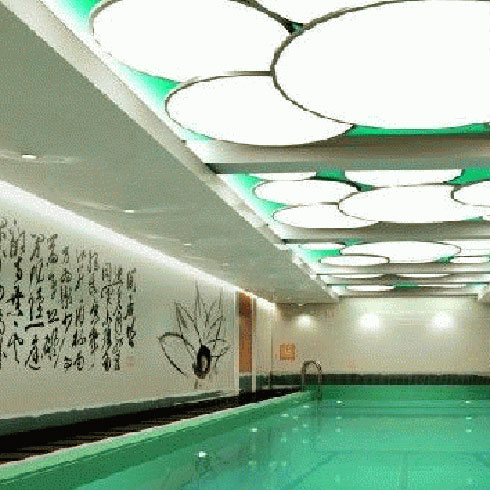 新奇特快養生墻藝-天花吊頂系列