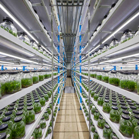 本草春生態基地