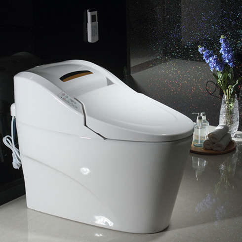 樂(lè)鵬衛(wèi)浴智能座便器