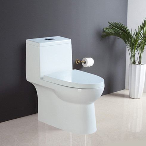 樂鵬衛浴連體座便器