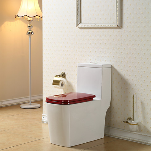 樂鵬衛浴紅色坐便器