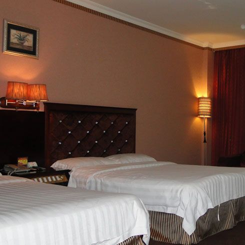 田園大酒店-標準雙人房 