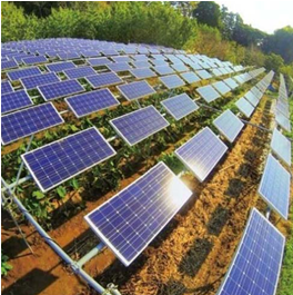 億清佳華太陽能-農田發電效果圖