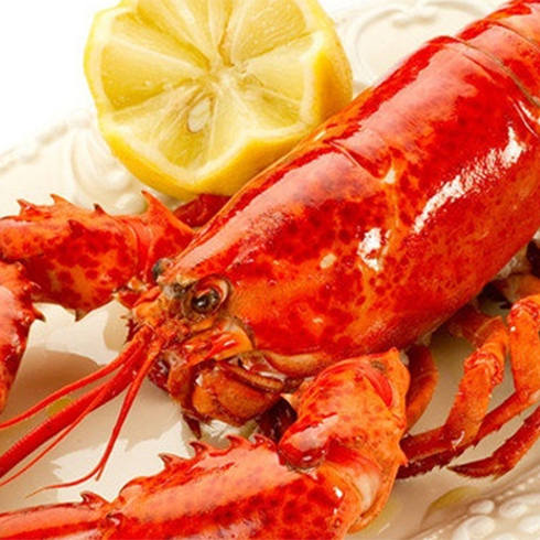 優世界加拿大龍蝦