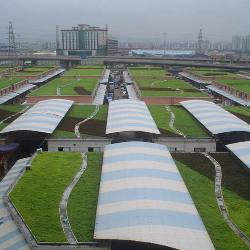 食品批發市場房頂