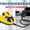 凱利家電清洗-多功能蒸汽清潔劑
