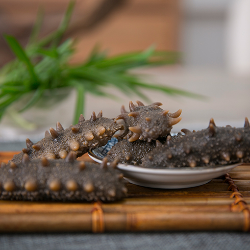 月亮灣海參-優質海參產品