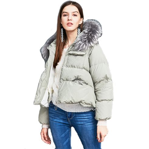 艾麗哲女裝-冬裝清新風羽絨服