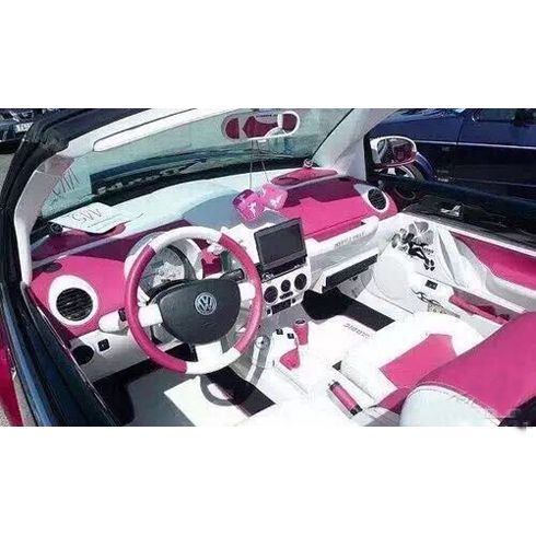 無損汽車美容-內飾健康處理