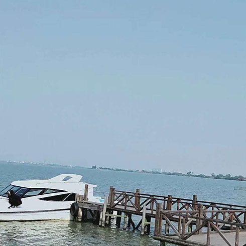 蟹太太生鮮新零售-高?；?/>
                                        <span>蟹太太生鮮新零售-高?；?/span>
                                    </li>
                                </ul>
                                <div   id=